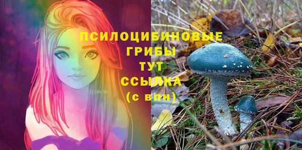 тгк Вязьма